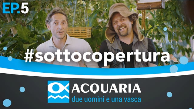 Acquaria: quinta puntata