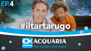 Acquaria: quarta puntata