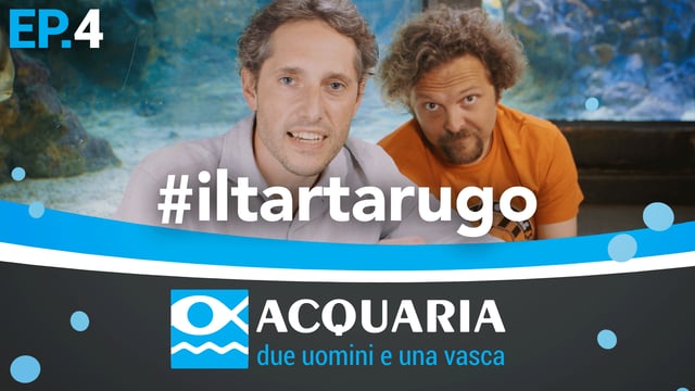 Acquaria: quarta puntata