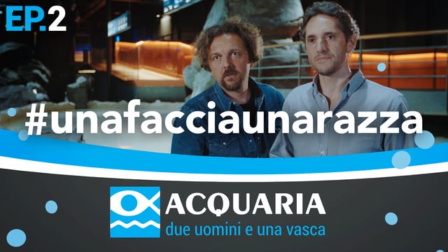 Acquaria: seconda puntata