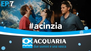 Acquaria: settima puntata