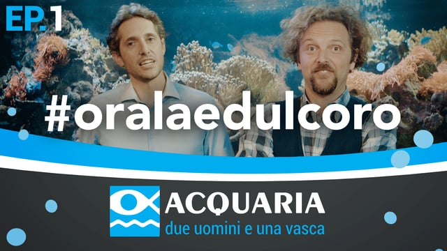 Acquaria: prima puntata