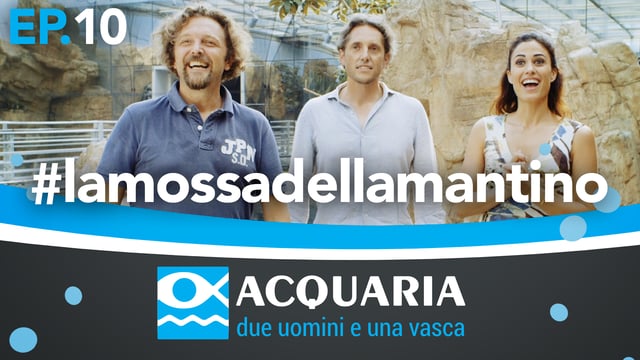 Acquaria: decima puntata