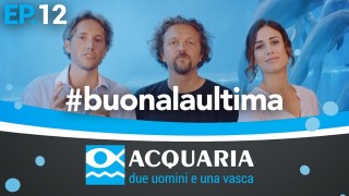 Acquaria: dodicesima puntata